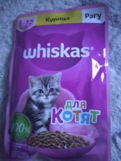 Корм для животных Whiskas, 75 г, для котят, 1-12 месяцев, рагу, курица, пауч, G8480 - фото 1 от пользователя