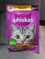 Корм для животных Whiskas, 75 г, для взрослых кошек 1+, кусочки в желе, курица, пауч, G8459 - фото 4 от пользователя