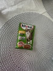 Корм для животных Kitekat, 85 г, для кошек, курица в желе, пауч - фото 1 от пользователя