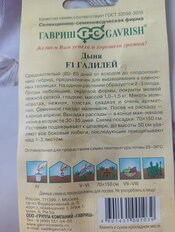 Семена Дыня, 15 шт, Семена от автора, Галилей F1, цветная упаковка, Гавриш - фото 2 от пользователя