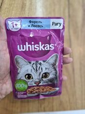 Корм для животных Whiskas, 75 г, для взрослых кошек 1+, рагу, форель/лосось, пауч, G8476 - фото 6 от пользователя