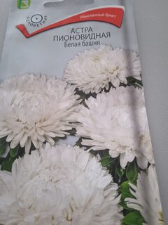 Семена Цветы, Астра, Белая башня, 0.3 г, пионовидная, цветная упаковка, Поиск - фото 3 от пользователя