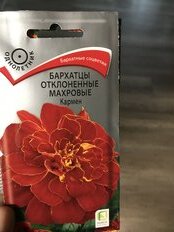 Семена Цветы, Бархатцы, Кармен, 0.4 г, цветная упаковка, Поиск - фото 9 от пользователя