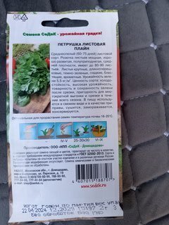 Семена Петрушка листовая, Плайн, 2 г, цветная упаковка, Седек - фото 7 от пользователя