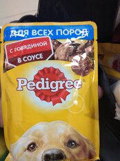 Корм для животных Pedigree, 85 г, для взрослых собак, говядина, F5861 - фото 8 от пользователя