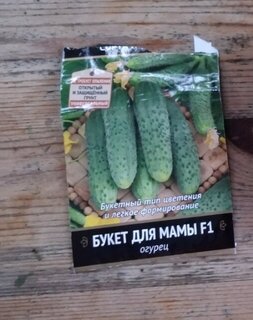 Семена Огурец, Букет для мамы F1, цветная упаковка, Поиск - фото 3 от пользователя