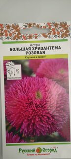 Семена Цветы, Астра, Большая хризантема, цветная упаковка, Русский огород - фото 4 от пользователя