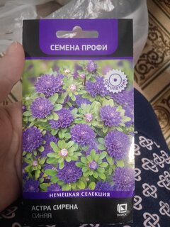 Семена Цветы, Астра, Сирена Синяя, 0.05 г, цветная упаковка, Поиск - фото 4 от пользователя