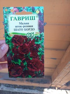 Семена Цветы, Мальва, Шато Бордо, 0.1 г, Цветочная коллекция, шток-розовая, цветная упаковка, Гавриш - фото 9 от пользователя