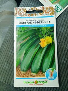 Семена Кабачок-цуккини, Завтрак нефтяника, 1.5 г, цветная упаковка, Русский огород - фото 3 от пользователя