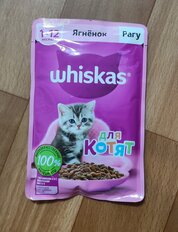 Корм для животных Whiskas, 75 г, для котят, 1-12 месяцев, рагу, ягненок, пауч, G8481 - фото 1 от пользователя