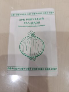 Семена Лук репчатый, Халцедон, 0.5 г, Первая цена, белая упаковка, Русский огород - фото 1 от пользователя