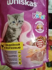 Корм для животных Whiskas, 350 г, для котят, 1-12 месяцев, сухой, индейка, молочные подушечки, коробка, 47103/7633/10116570 - фото 7 от пользователя