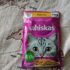 Корм для животных Whiskas, 75 г, для взрослых кошек 1+, рагу, курица, пауч, G8478 - фото 5 от пользователя