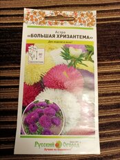 Семена Цветы, Астра, Большая хризантема, 50 шт, смесь, цветная упаковка, Русский огород - фото 7 от пользователя