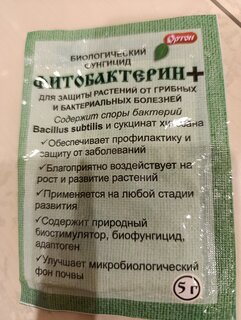 Фунгицид Фитобактерин+, биологический, 5 г, порошок, Ортон - фото 6 от пользователя