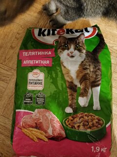 Корм для животных Kitekat, 1900 г, для взрослых кошек, сухой, аппетитная телятинка, пакет, 10132149 - фото 1 от пользователя