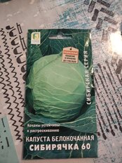 Семена Капуста белокочанная, Сибирячка 60, 0.5 г, Сибирская, цветная упаковка, Поиск - фото 1 от пользователя