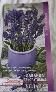 Семена Цветы, Лаванда, Услада, 0.25 г, цветная упаковка, Поиск - фото 1 от пользователя