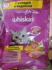 Корм для животных Whiskas, 1900 г, для взрослых кошек 1+, сухой, лосось, подушечки с паштетом, пакет - фото 6 от пользователя