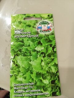 Семена Салат листовой, Изумрудный, 0.5 г, цветная упаковка, Седек - фото 7 от пользователя