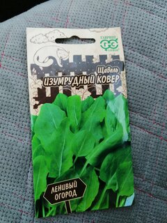 Семена Щавель, Изумрудный ковер, 0.2 г, Ленивый огород, цветная упаковка, Гавриш - фото 5 от пользователя