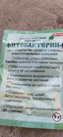 Фунгицид Фитобактерин+, биологический, 5 г, порошок, Ортон - фото 1 от пользователя