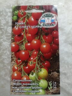 Семена Томат, Спрут черри F1, 0.03 г, цветная упаковка, Седек - фото 4 от пользователя