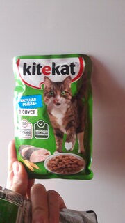 Корм для животных Kitekat, 85 г, для кошек, рыба в соусе, пауч - фото 1 от пользователя