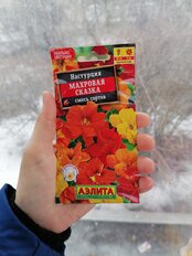 Семена Цветы, Настурция, Махровая сказка, 1 г, смесь сортов, цветная упаковка, Аэлита - фото 1 от пользователя