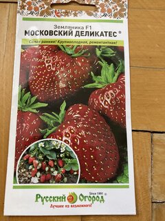Семена Земляника, Московский Деликатес F1, 3 г, цветная упаковка, Русский огород - фото 2 от пользователя