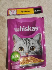 Корм для животных Whiskas, 75 г, для взрослых кошек 1+, кусочки в желе, курица, пауч, G8459 - фото 6 от пользователя