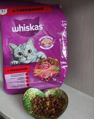 Корм для животных Whiskas, 1900 г, для взрослых кошек 1+, сухой, говяжий паштет, подушечки с паштетом, пакет, G3657 - фото 1 от пользователя