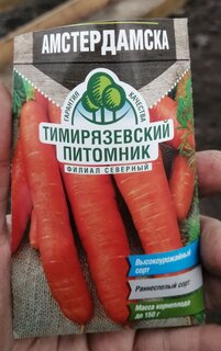 Семена Морковь, Амстердамская, 2 г, ранняя, цветная упаковка, Тимирязевский питомник - фото 2 от пользователя