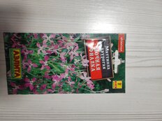Семена Цветы, Маттиола, Ночная фиалка, 0.5 г, цветная упаковка, Аэлита - фото 1 от пользователя