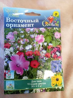 Семена Газон, Восточный орнамент, 30 г, цветущие, цветная упаковка, Русский огород - фото 2 от пользователя