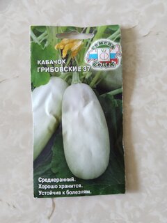 Семена Кабачок, Грибовские 37, цветная упаковка, Седек - фото 8 от пользователя