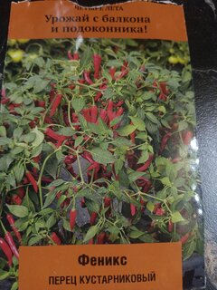Семена Перец острый, Феникс, Четыре лета, кустарниковый, цветная упаковка, Поиск - фото 8 от пользователя