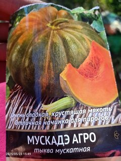 Семена Тыква, Мускадэ Агро, мускатная, цветная упаковка, Поиск - фото 5 от пользователя