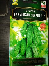 Семена Огурец, Бабушкин секрет F1, 10 шт, цветная упаковка, Аэлита - фото 9 от пользователя