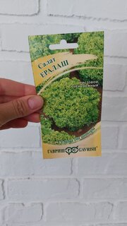 Семена Салат листовой, Ералаш, 0.5 г, Семена от автора, цветная упаковка, Гавриш - фото 7 от пользователя