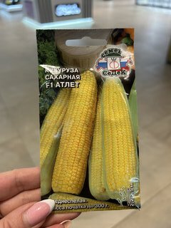 Семена Кукуруза, Атлет F1, сахарная, цветная упаковка, Седек - фото 8 от пользователя