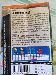 Семена Томат, Балконное Чудо, 0.1 г, цветная упаковка, Тимирязевский питомник - фото 3 от пользователя