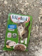 Корм для животных Kitekat, 85 г, для кошек, рыба в соусе, пауч - фото 4 от пользователя