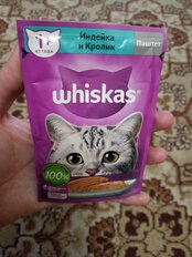 Корм для животных Whiskas, 75 г, для взрослых кошек 1+, паштет, индейка/кролик, пауч, G8471 - фото 2 от пользователя