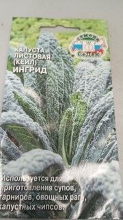 Семена Капуста листовая, Ингрид, 0.3 г, цветная упаковка, Седек - фото 9 от пользователя