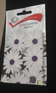 Семена Цветы, Остеоспермум, Небо и лед, 0.1 г, цветная упаковка, Поиск - фото 3 от пользователя