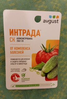 Фунгицид Интрада, защита овощных и полевых культур, 10 мл, жидкость, Avgust - фото 1 от пользователя