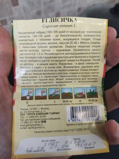 Семена Перец сладкий, Лисичка F1, Семена от автора, цветная упаковка, Гавриш - фото 8 от пользователя