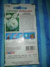 Семена Патиссон, Белоснежка, 1 г, цветная упаковка, Седек - фото 7 от пользователя